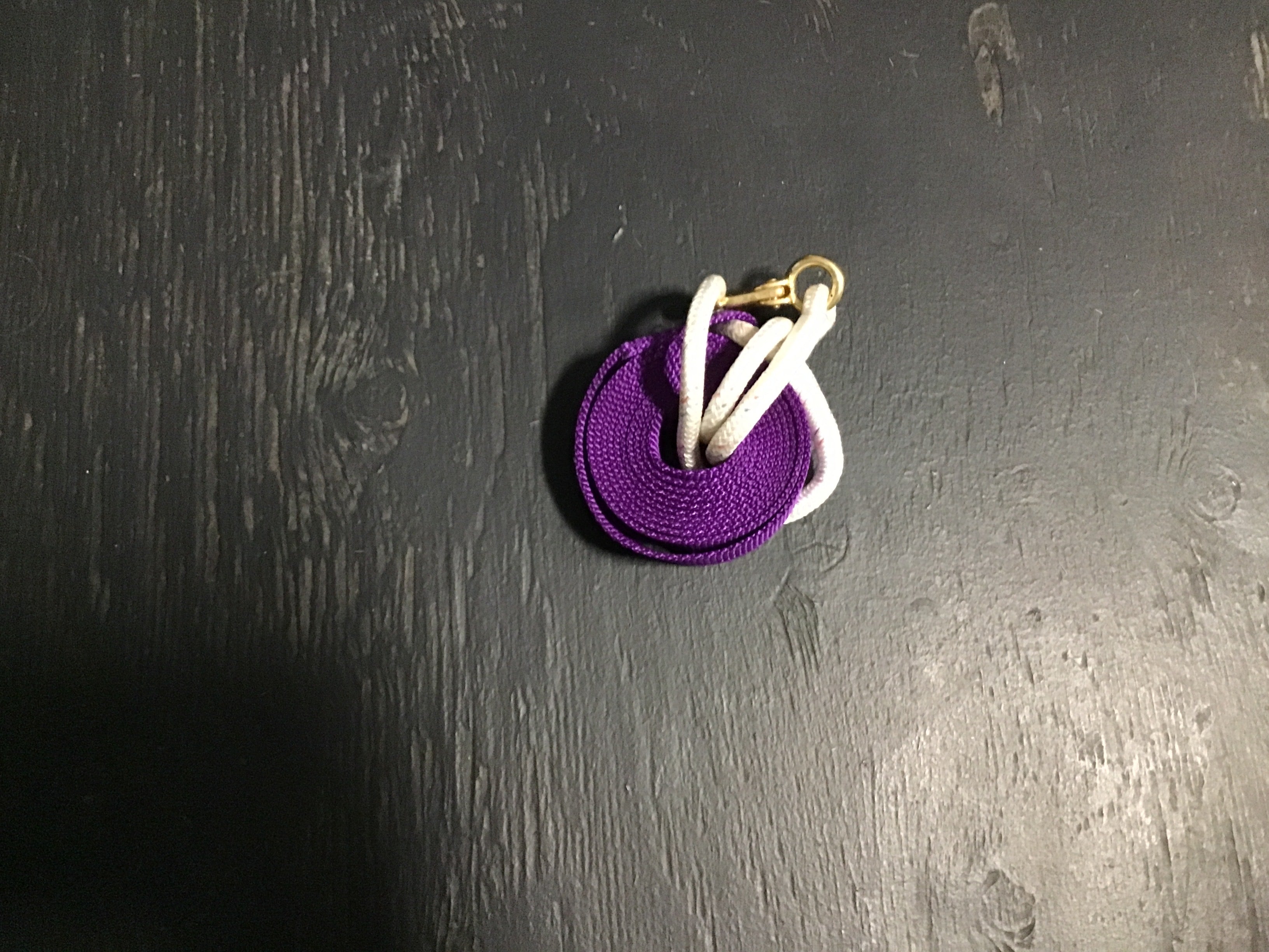 Purple nylon rope lead