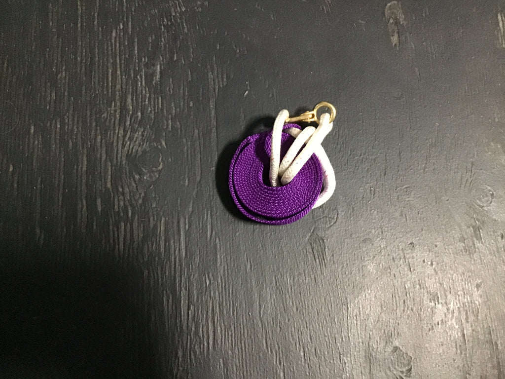 Purple nylon rope lead