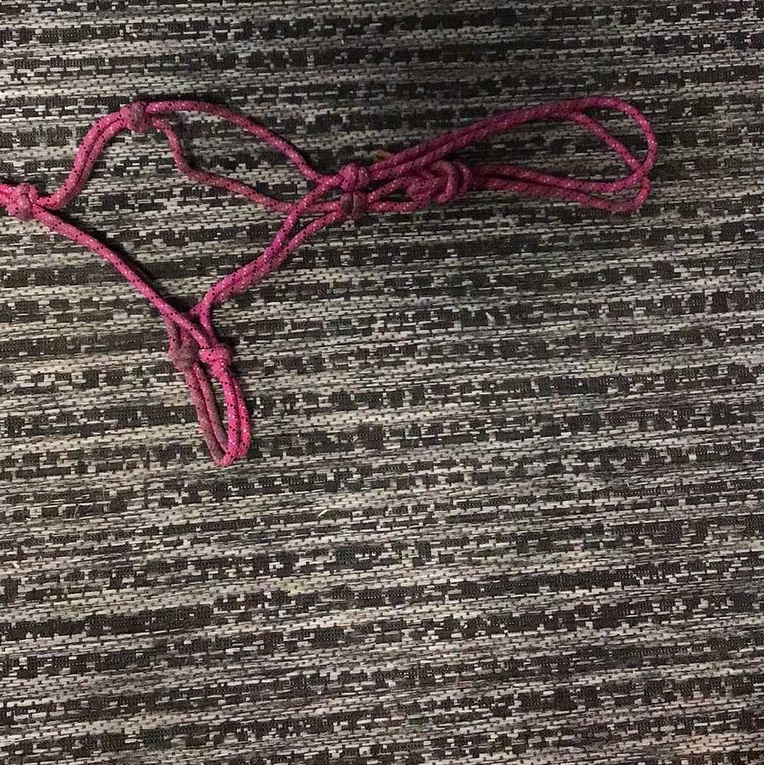 Pink rope halter