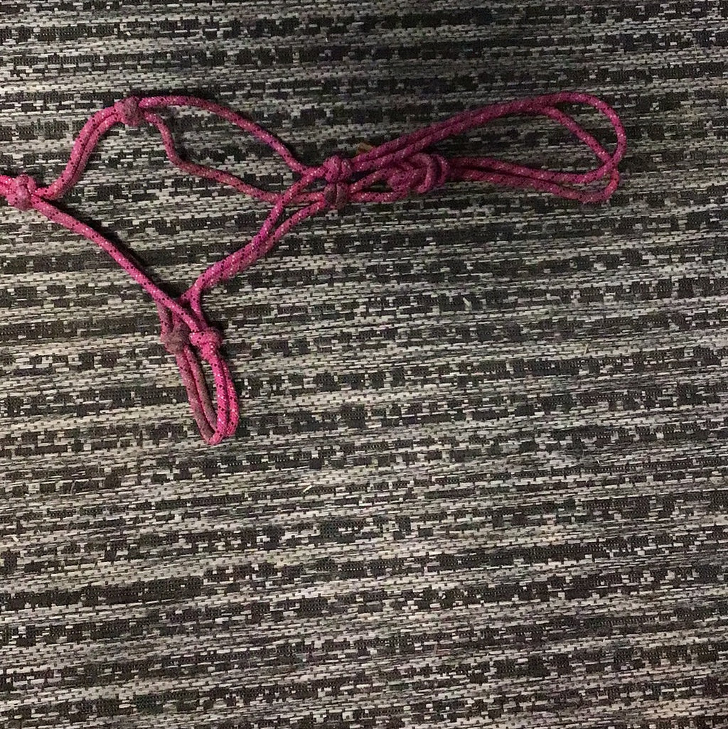 Pink rope halter