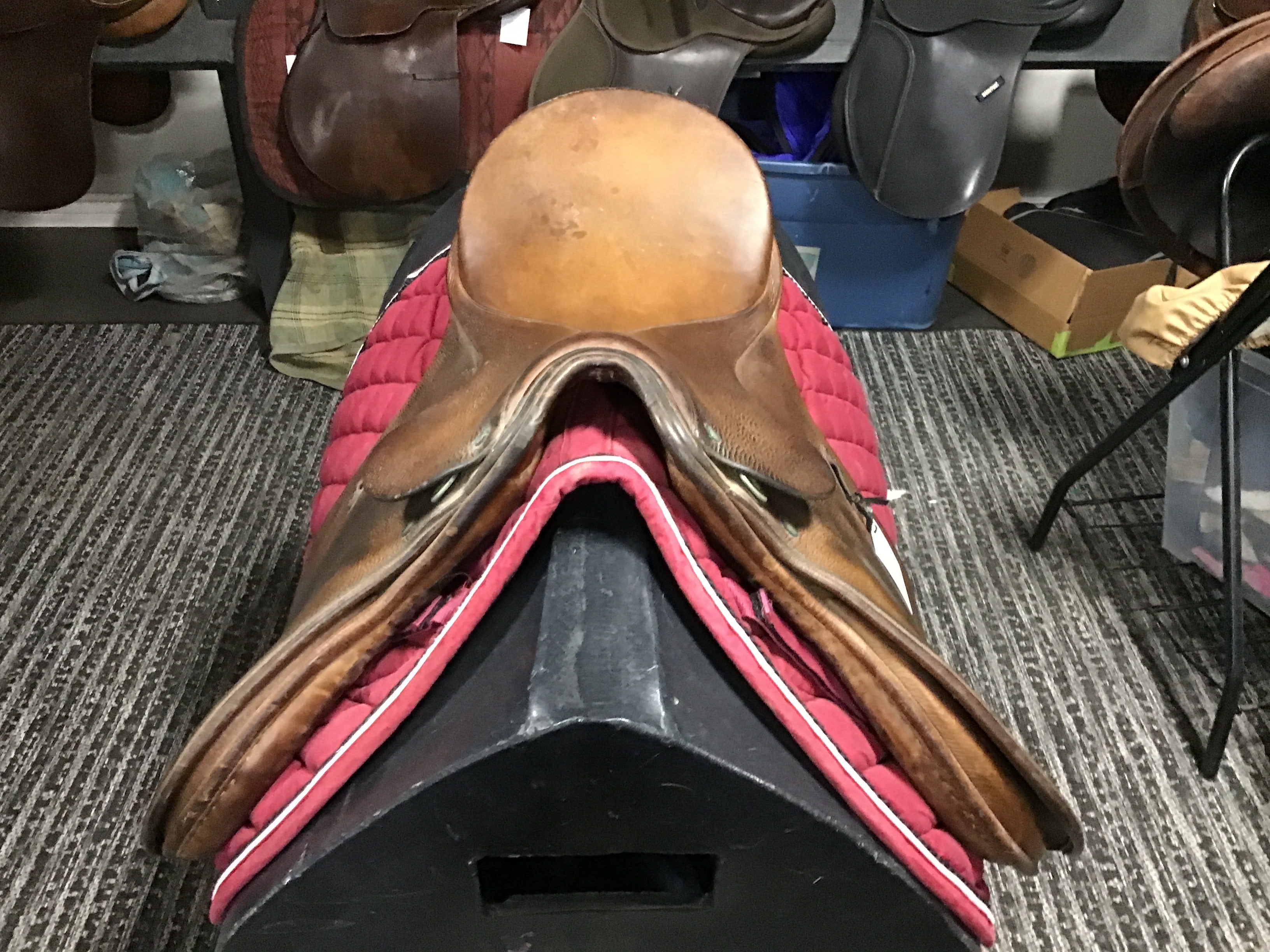 16.5” M Passier