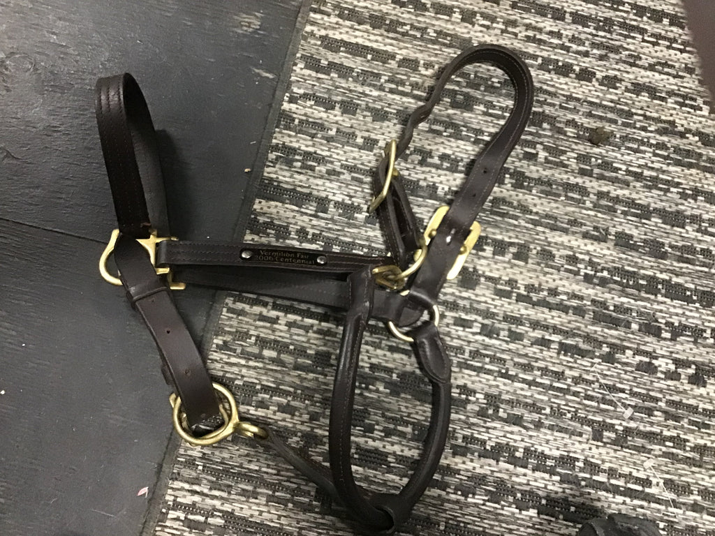 Dark Brown Halter (horse)