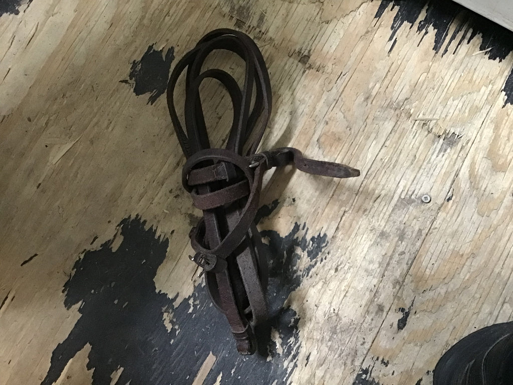 Brown Reins