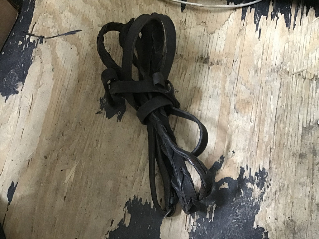 Brown Reins