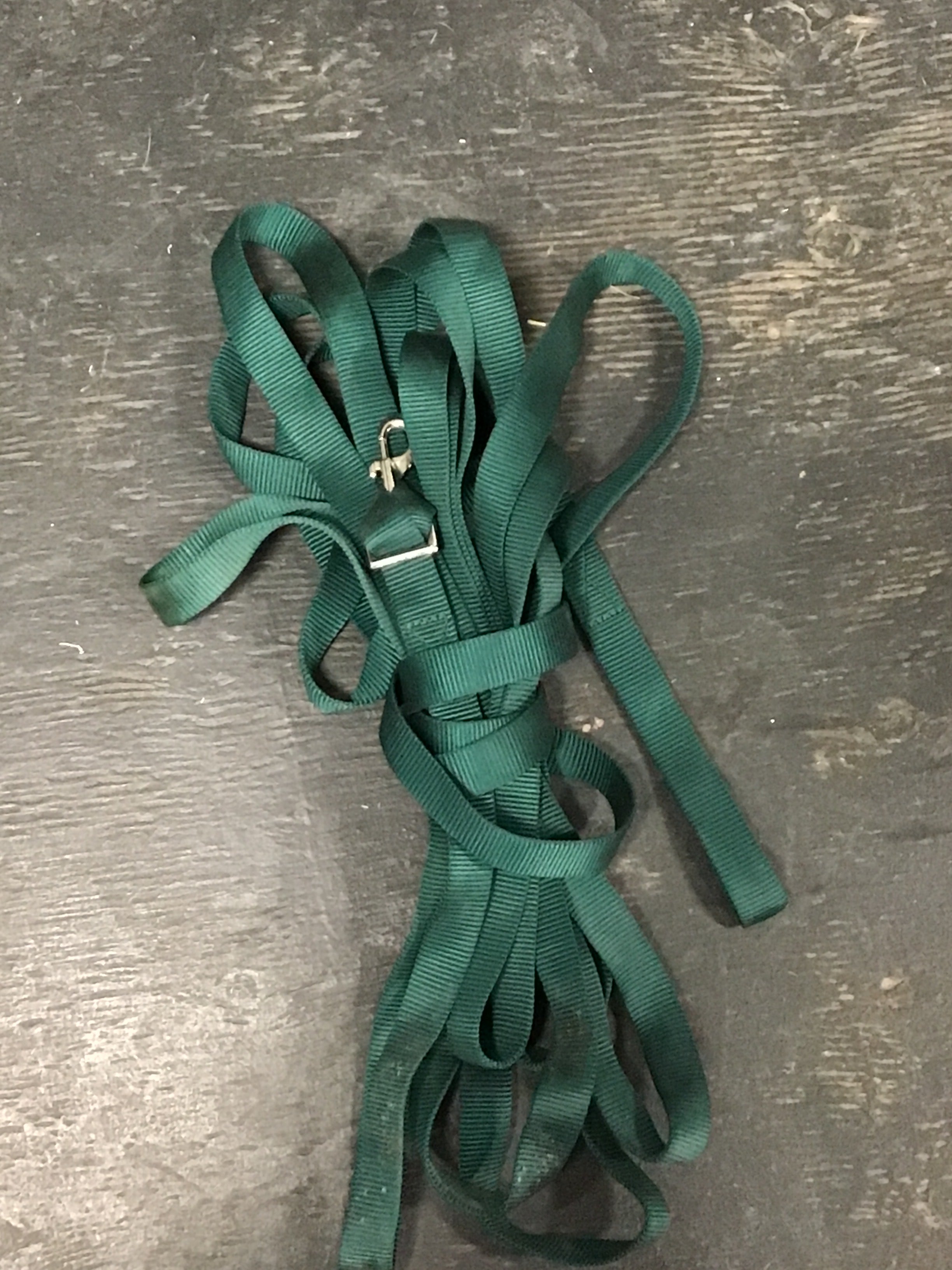 Hunter green lunge line