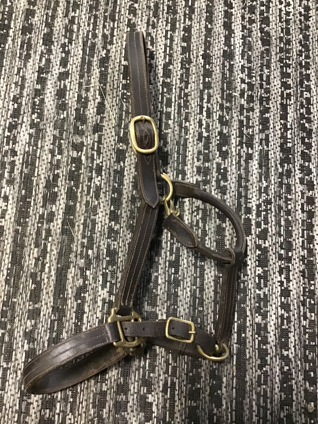 Leather grooming halter