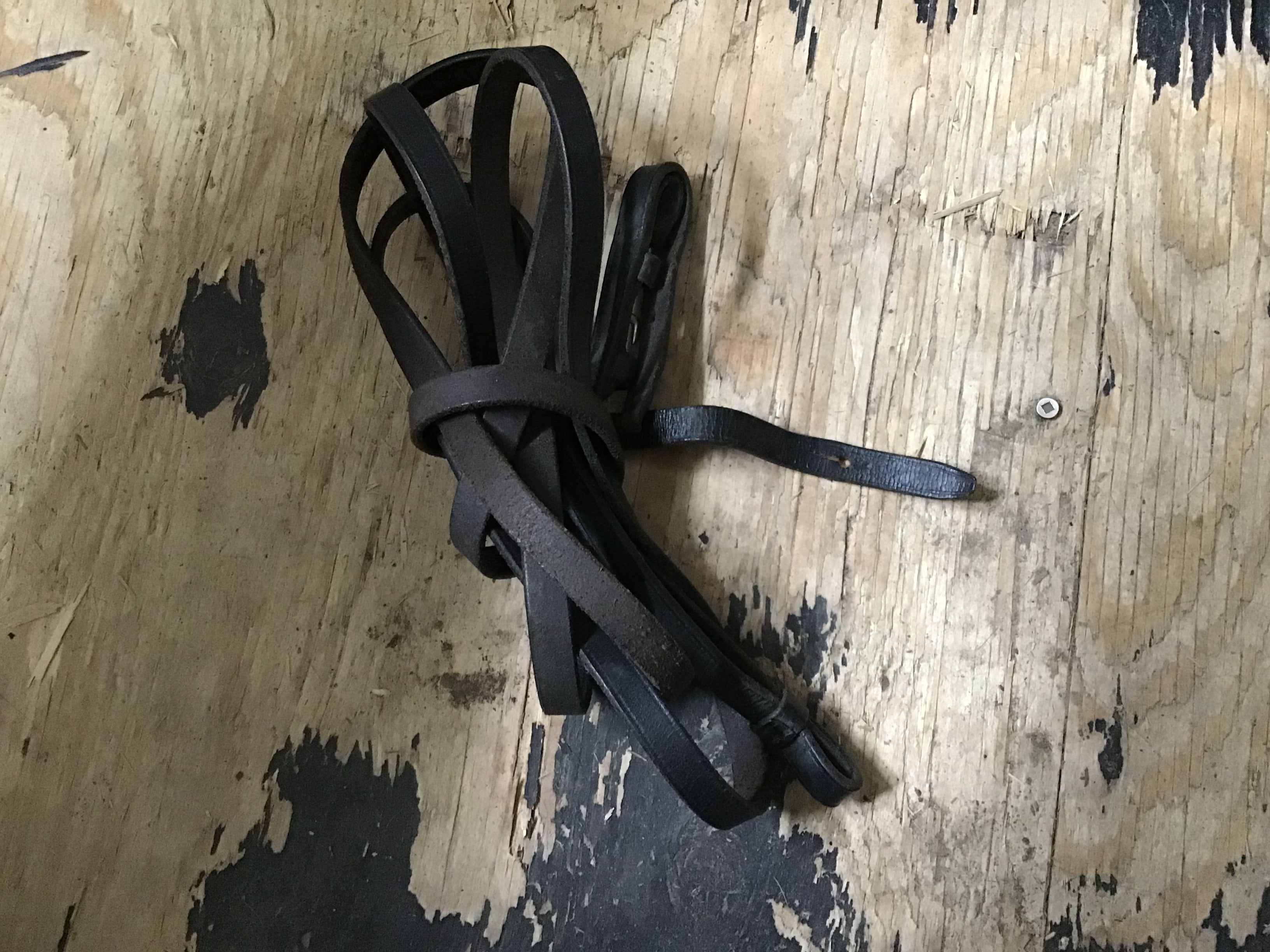 Dark Brown Reins