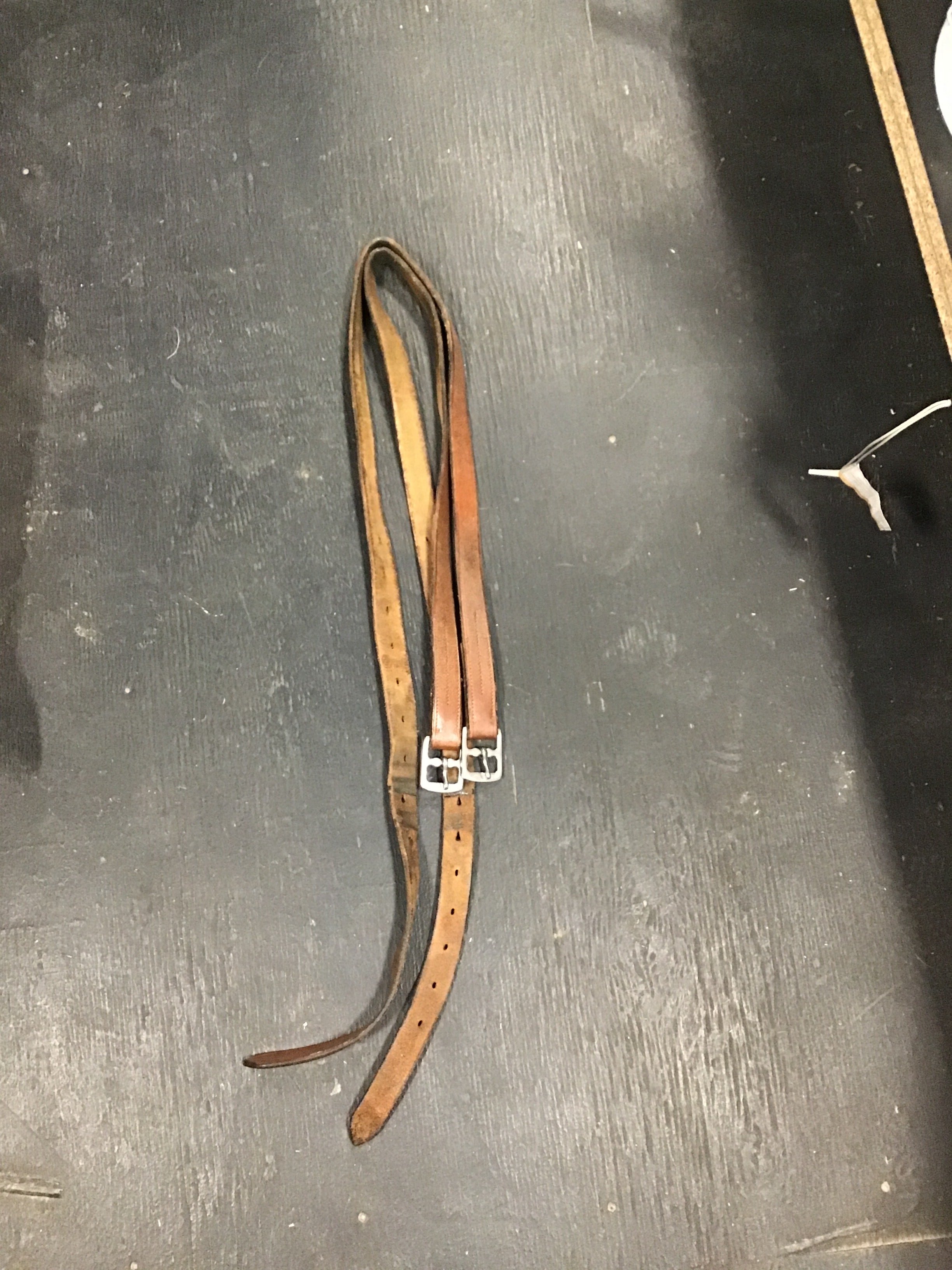 Oakbark stirrup leathers