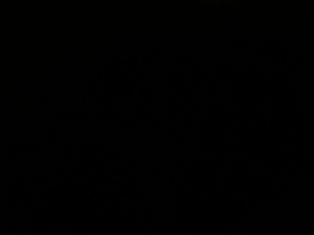 pony rambo saddle pad