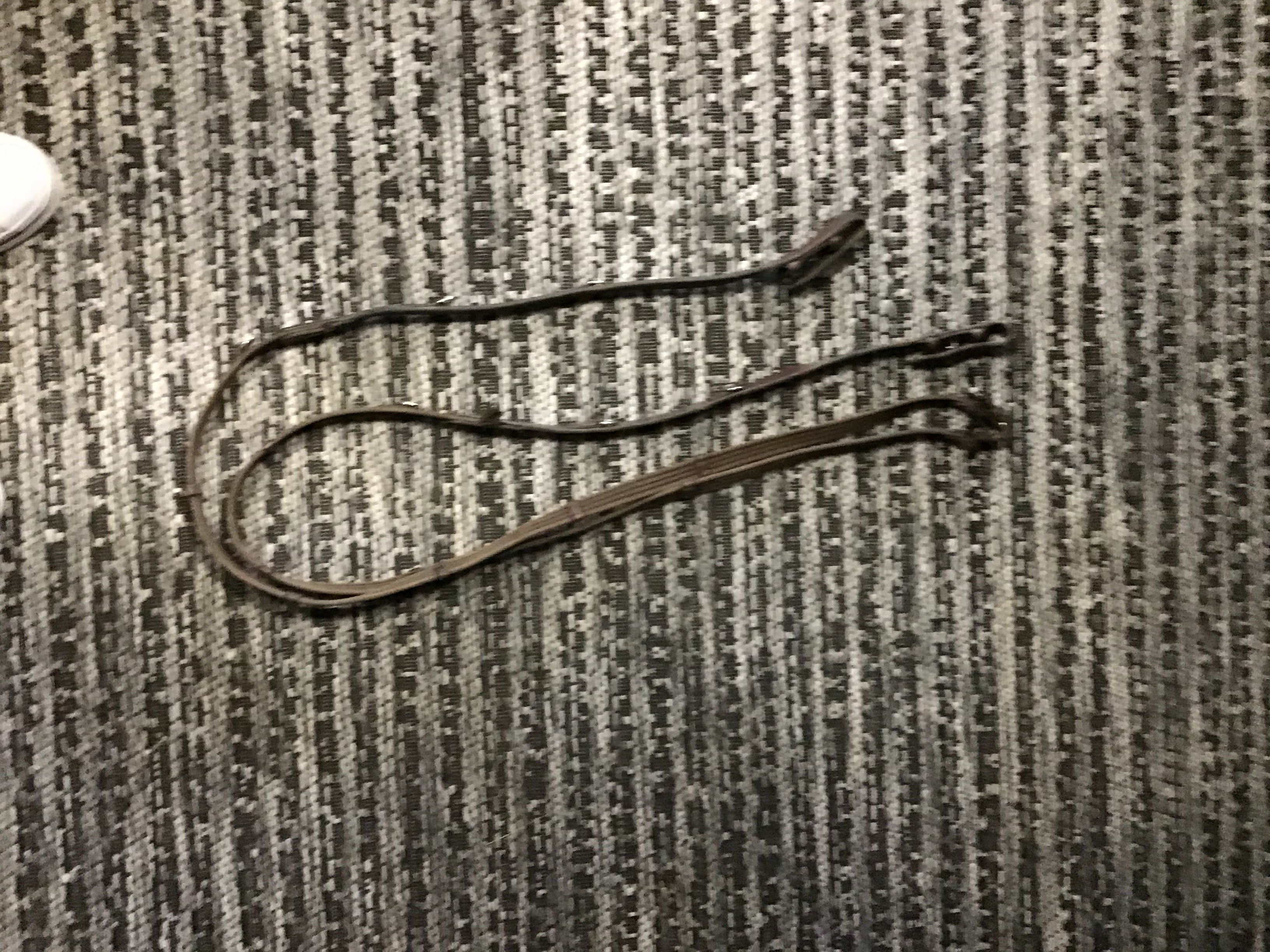 Reins with side loops