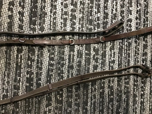 Reins with side loops