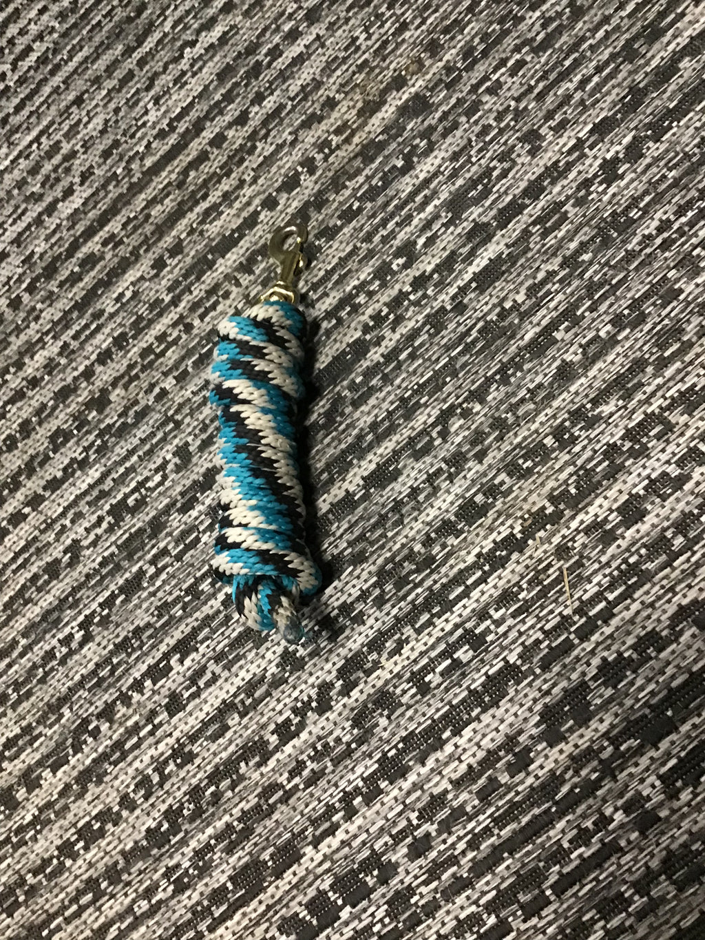 Teal and blue lead rope