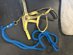 Yellow flower halter w blue lead (full)