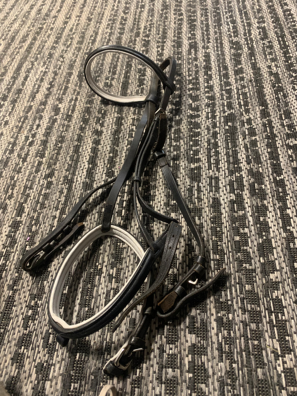 Black and white bridle (horse)