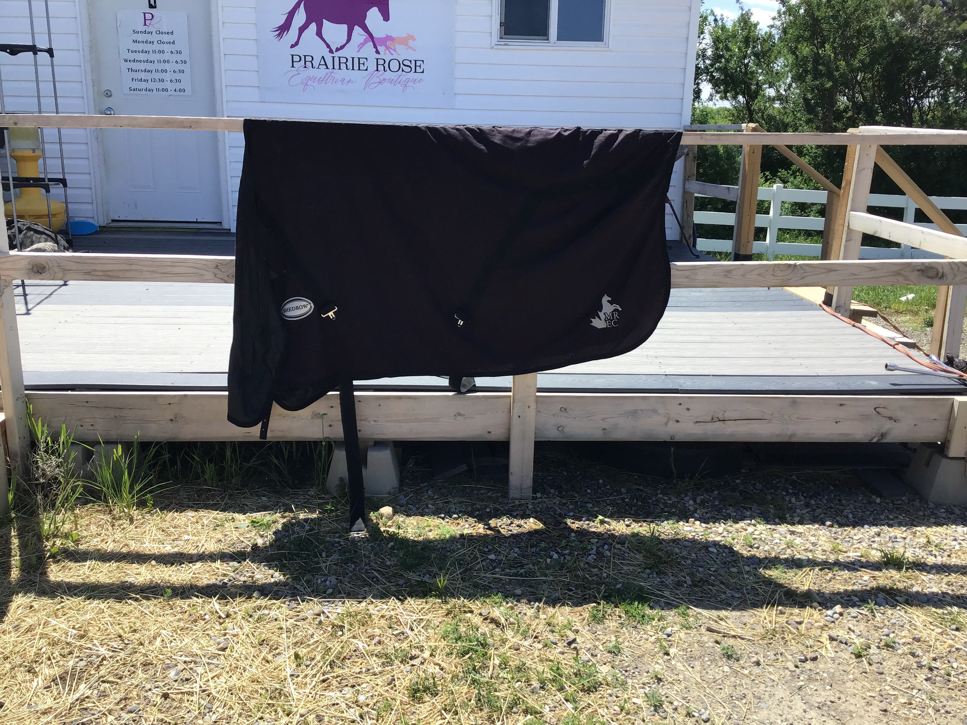 Black cooler(76) Shedrow