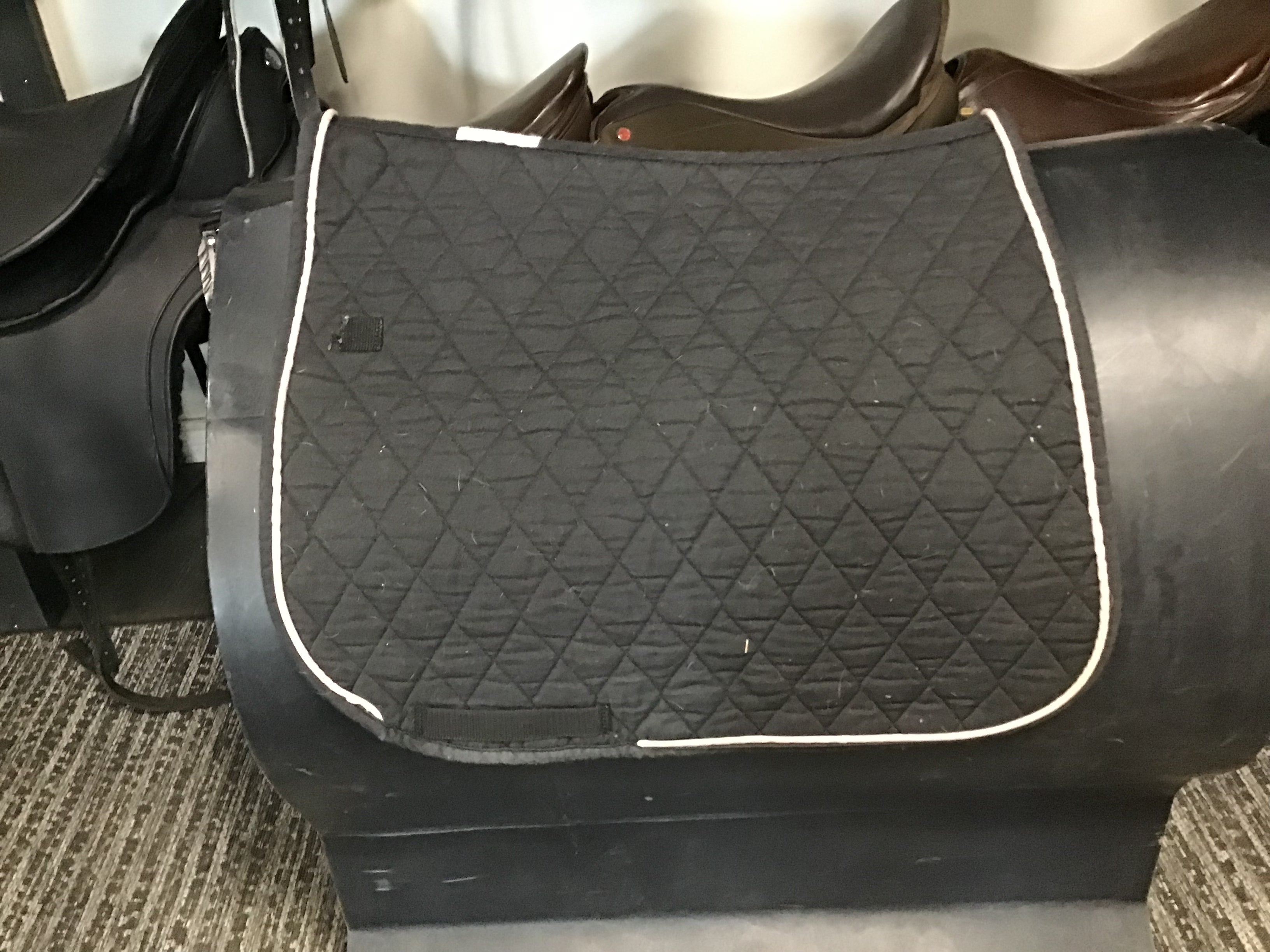 Dressage schooling pad