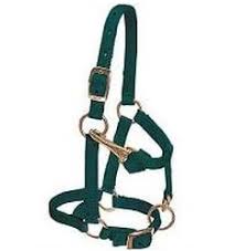 Nylon Halter