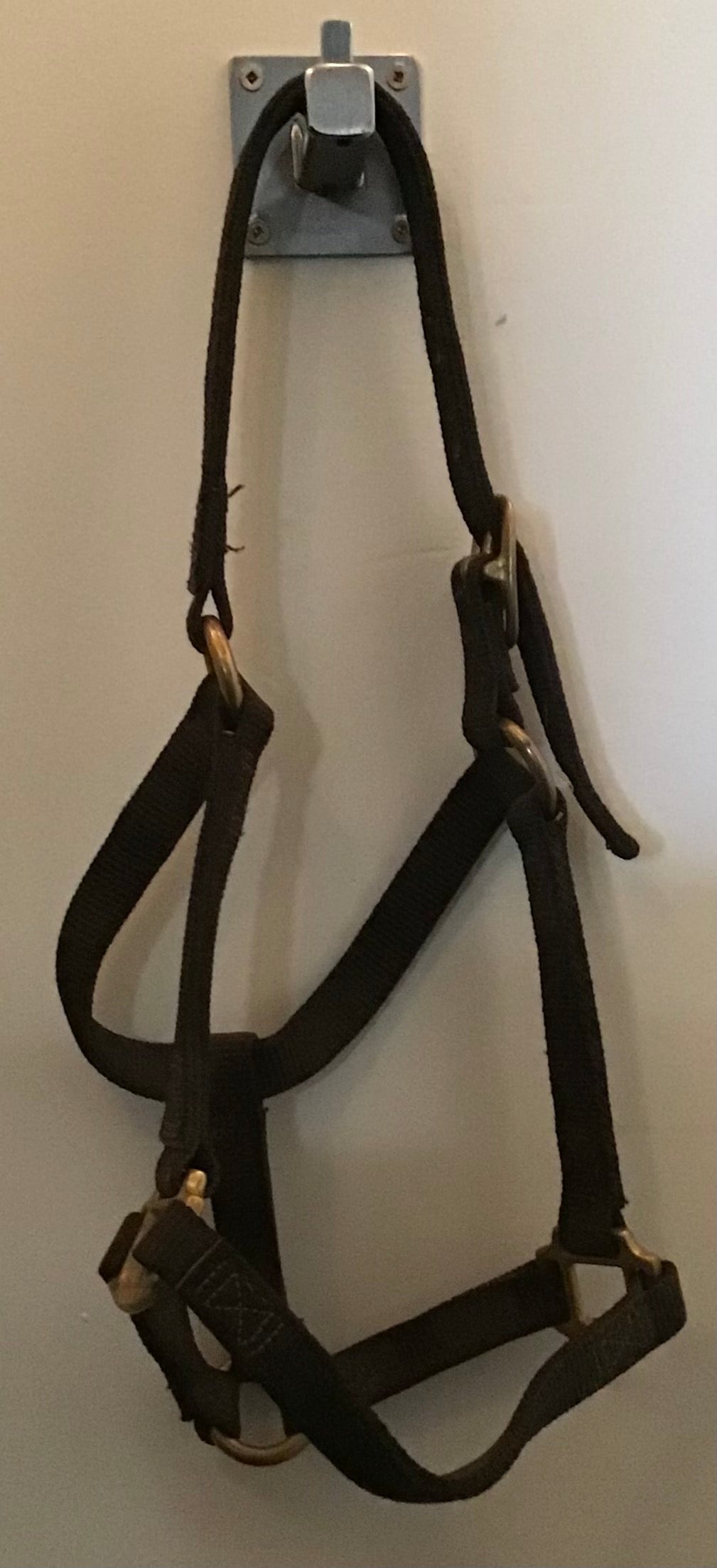 Black pony halter