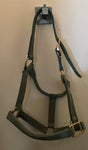 Teal cob halter