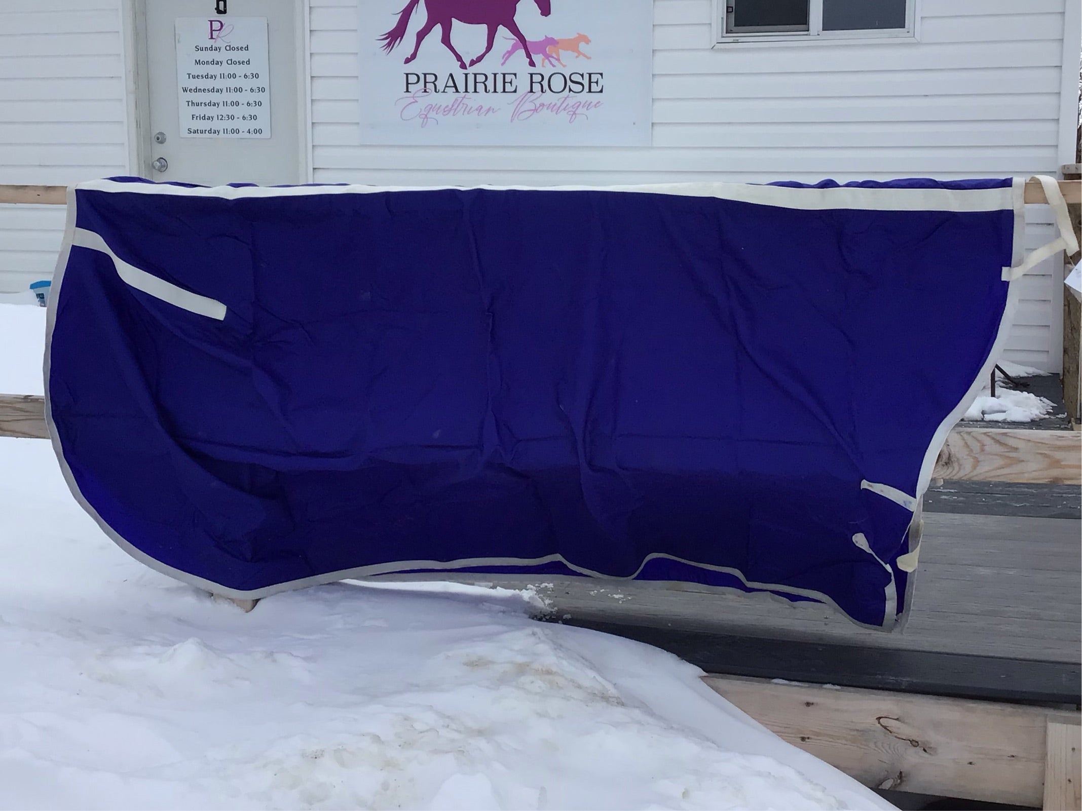 royal blue show sheet 76"