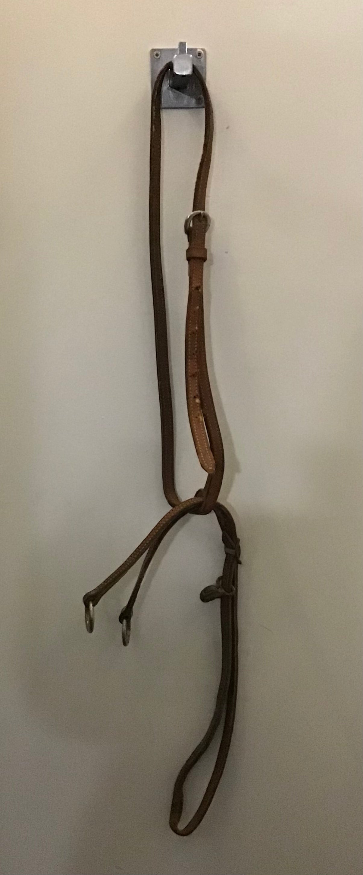 Pony running martingale