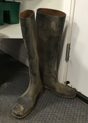 Rubber riding boots