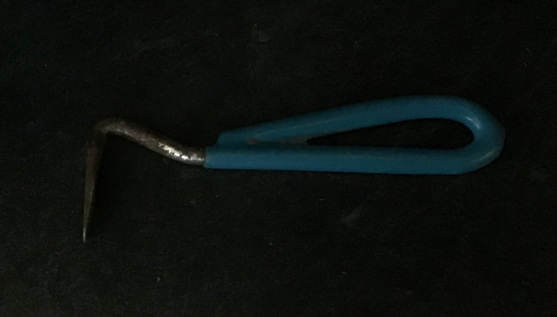 Blue hoof pick