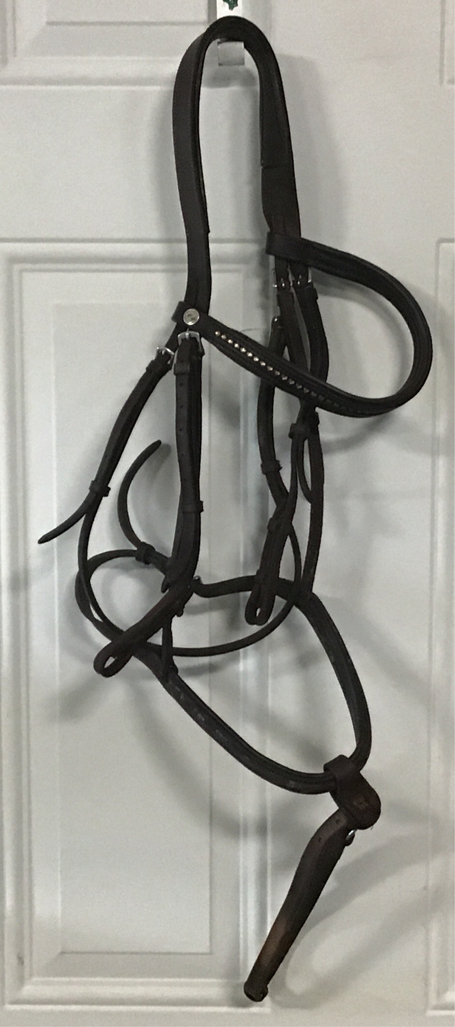 Padded headstall with bling browband/ flash noseband