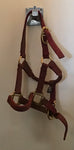 Foal/mini halter