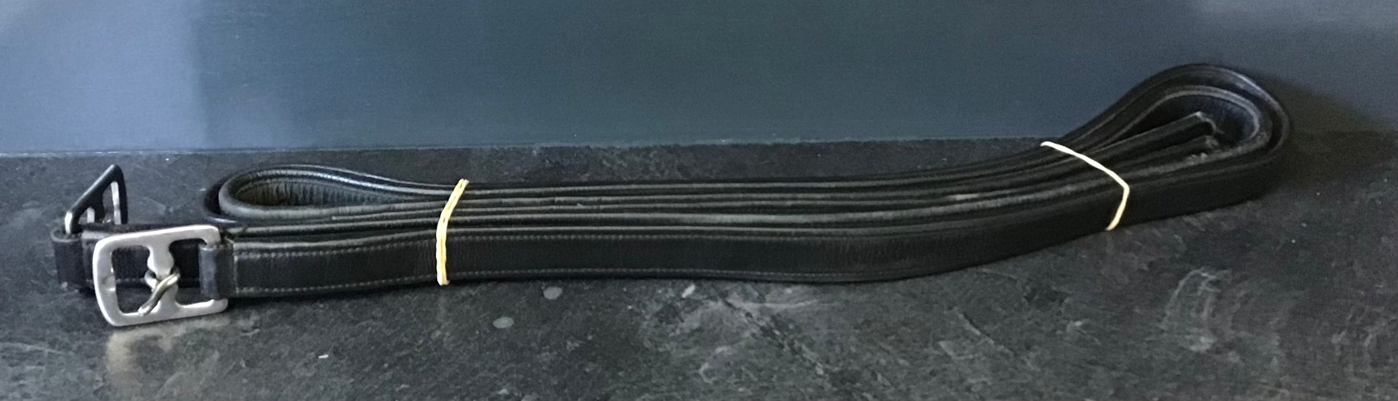 Dressage leathers