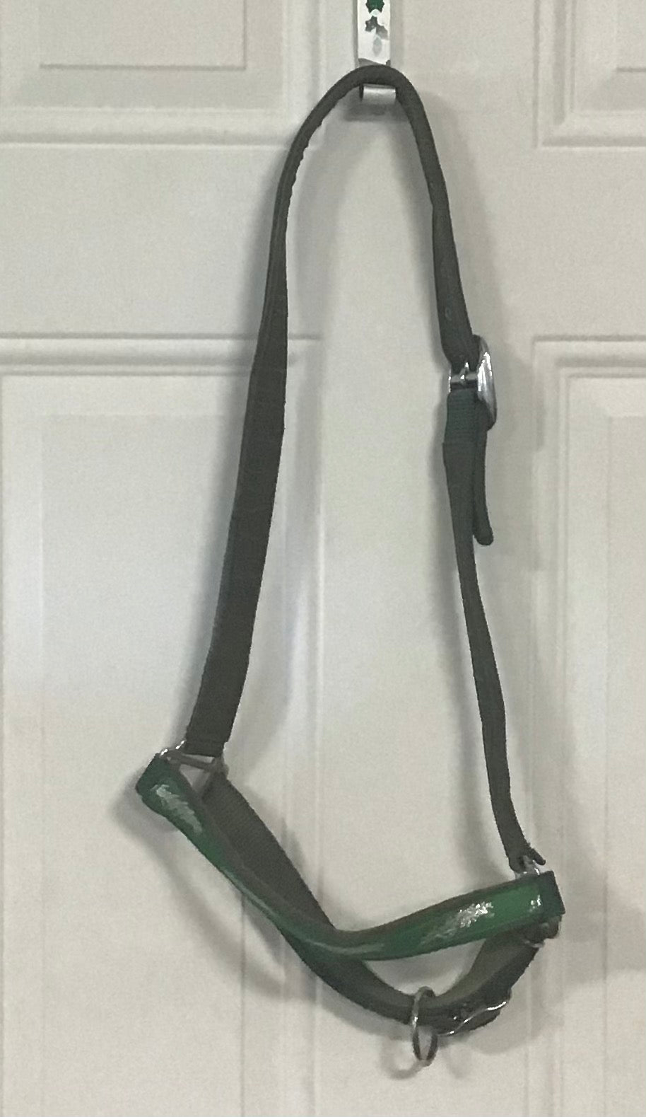 Spruce meadows grooming halter (horse)