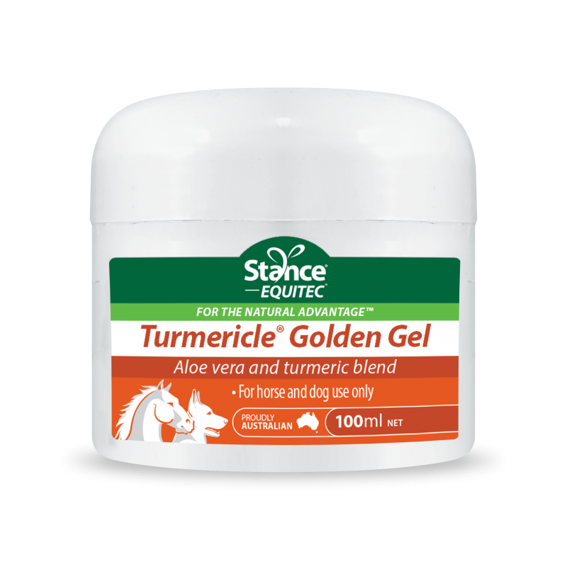 Turmericle Golden Gel