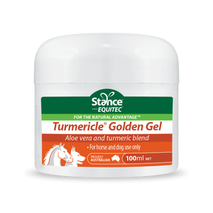 Turmericle Golden Gel