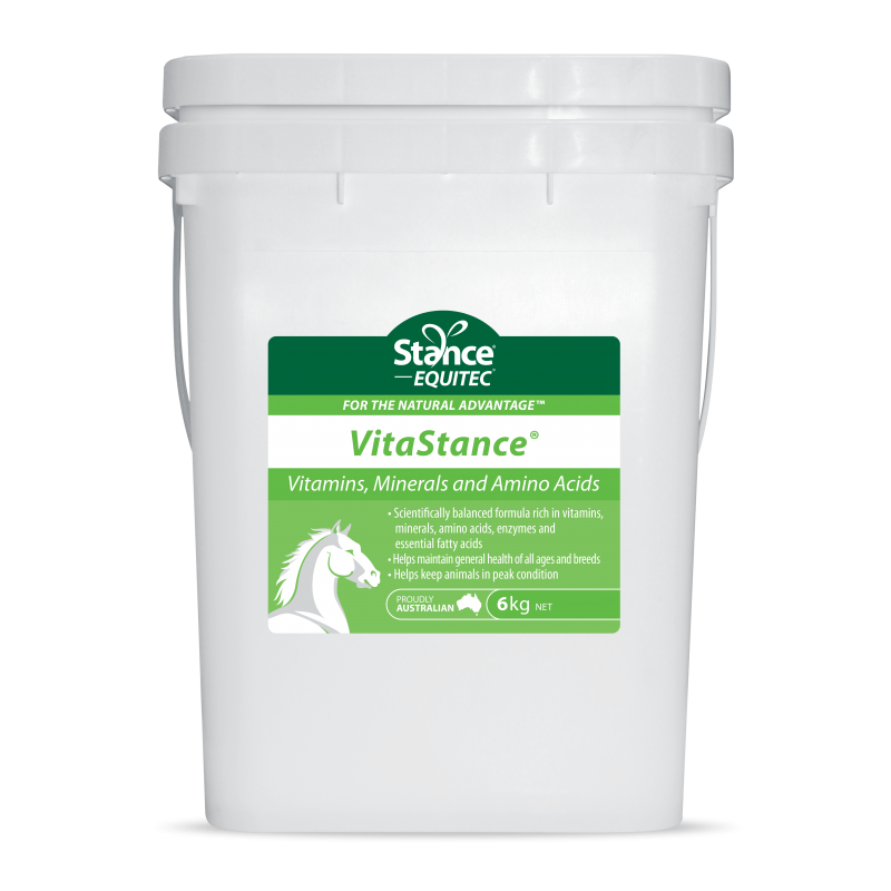 VitaStance