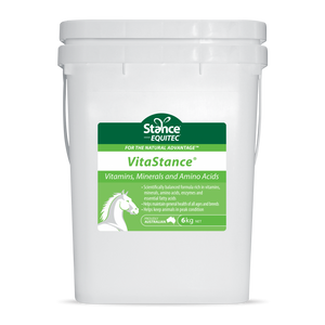 VitaStance